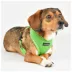 Puppia® Soft Over-the-Head with Reflective Straps Pro Dog Harness image thumbnail 3