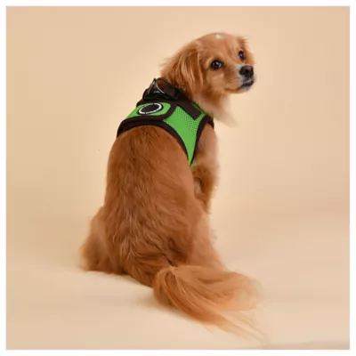 Puppia® Soft Step-In Vest Dog Harness II - Image 4