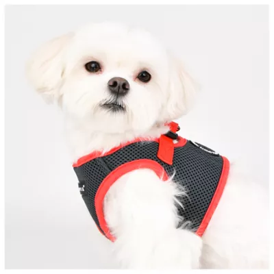 Puppia® Soft Step-In Vest Dog Harness II - Image 4