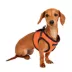 Puppia® Soft Step-In Vest Dog Harness II image thumbnail 4