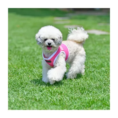 Puppia® Soft Step-In Vest Dog Harness II - Image 4