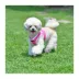 Puppia® Soft Step-In Vest Dog Harness II image thumbnail 4