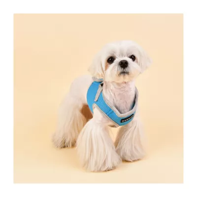 Puppia® Soft Step-In Vest Dog Harness II - Image 4