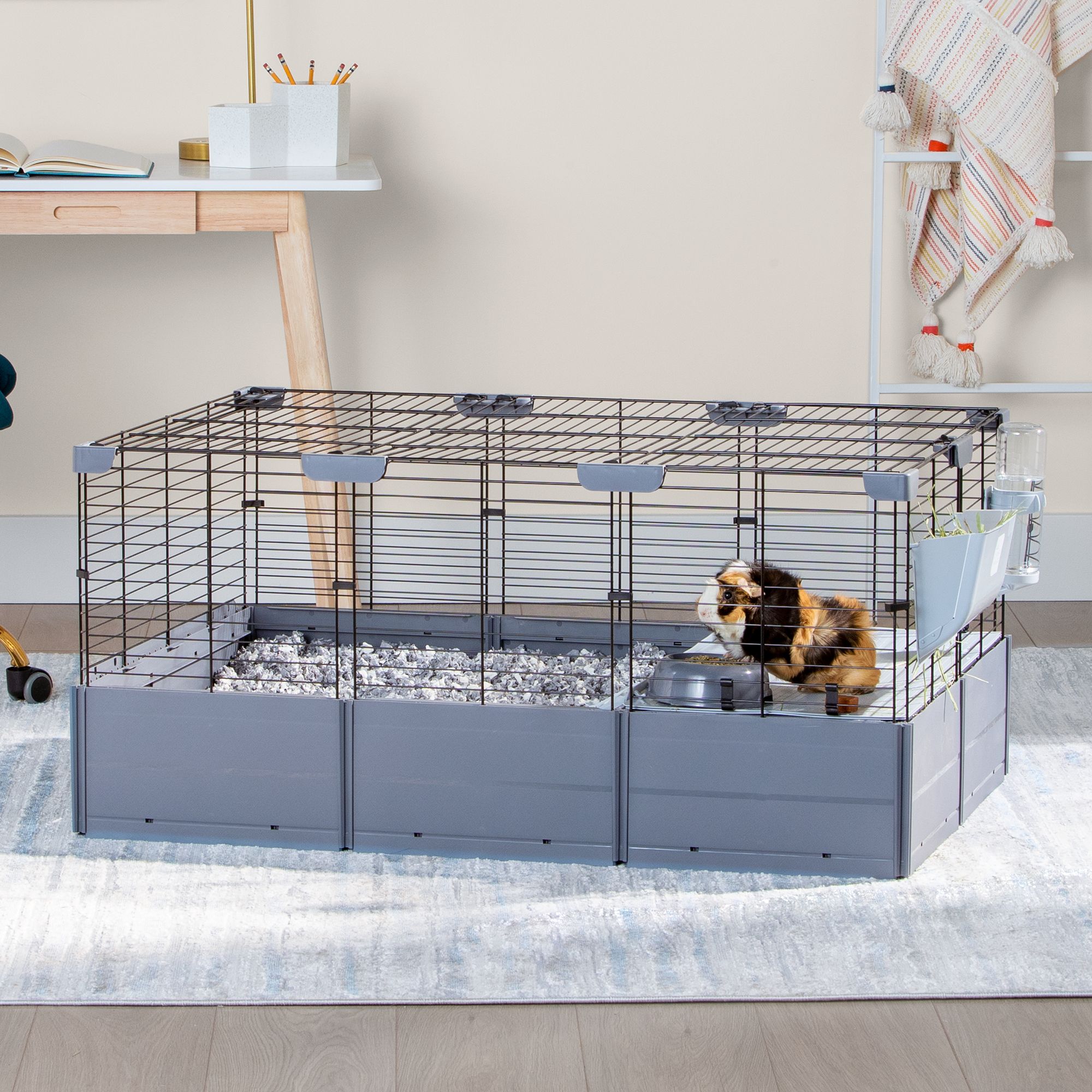 Guinea pig store cages from petsmart