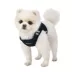 Puppia® Soft Step-In Vest with Reflective Straps Pro Dog Harness image thumbnail 4