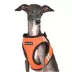 Puppia® Soft Step-In Vest with Reflective Straps Pro Dog Harness image thumbnail 4