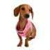 Puppia® Soft Step-In Vest with Reflective Straps Pro Dog Harness image thumbnail 4