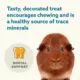 Product Full Cheeks™ Small Pet Mineral Desserts - Treats & Chews