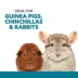 Full Cheeks™ Small Pet Timothy Hay Tunnel & Hideaway image thumbnail 2