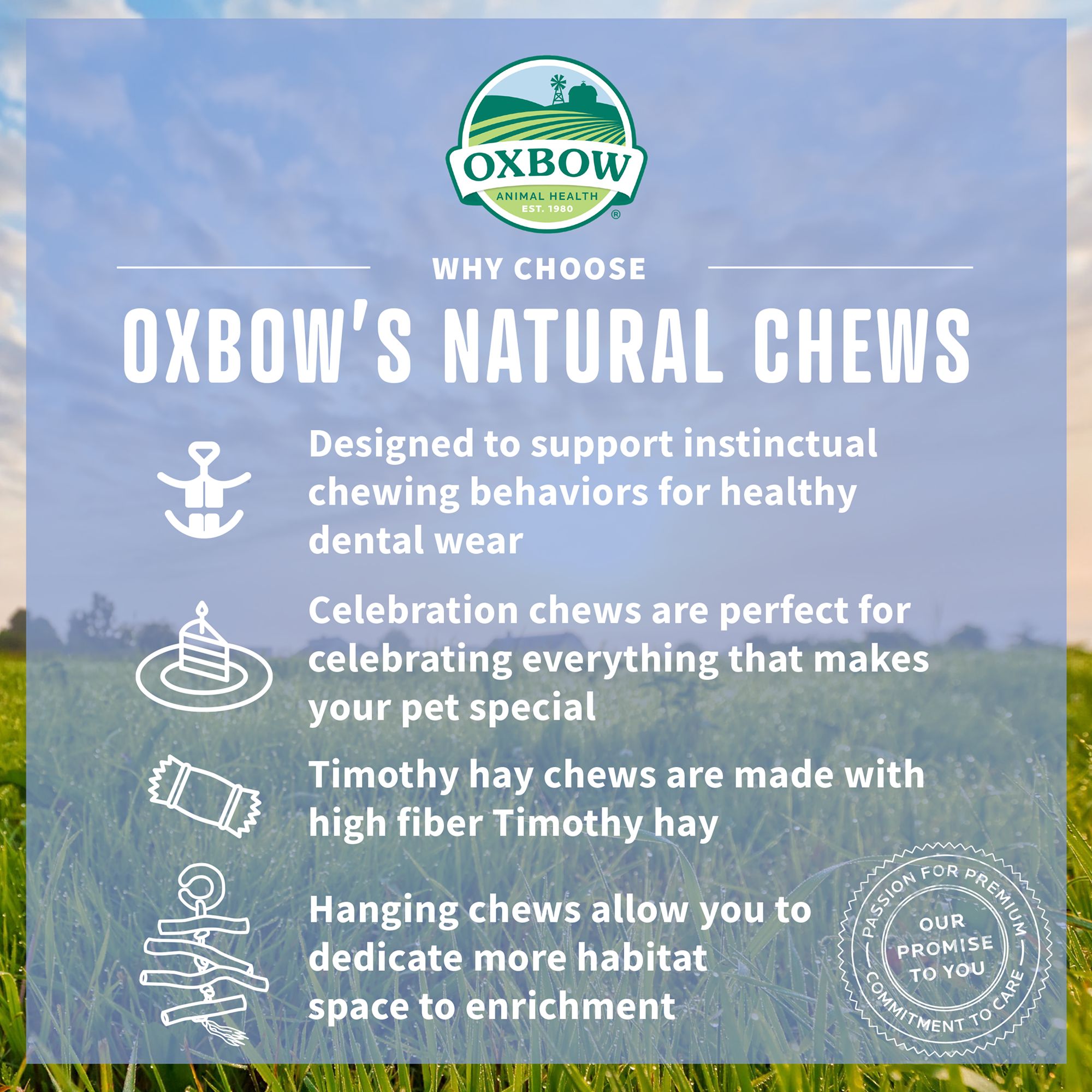 Oxbow Enriched Life Small Pet Star Chew Toy - thumbnail 4