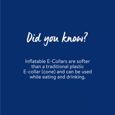 Product Dog MX™ Inflatable E-Collar for Post Surgery, Medication, Hot Spots & Wound Healing - Adjustab