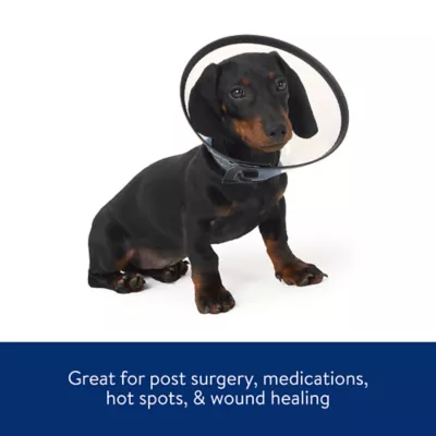 Product Dog MX™ Plastic E-Collar