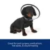 Dog MX™ Plastic E-Collar image thumbnail 3
