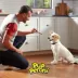 Pup -Peroni Dog Treat All Ages - Lean Beef image thumbnail 6