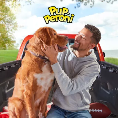 Product Pup -Peroni Dog Treat All Ages - Beef