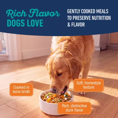 Natural Balance Platefulls Adult Dog Food Topper - 9oz - Image 9