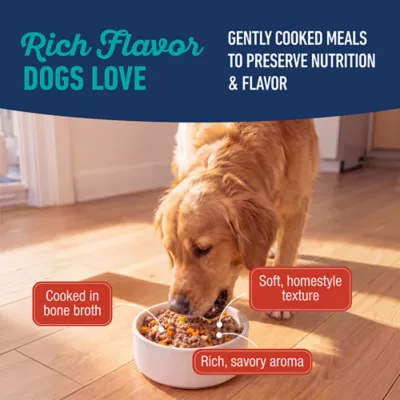 Natural Balance Platefulls Adult Dog Food Topper - 9 oz - Image 9