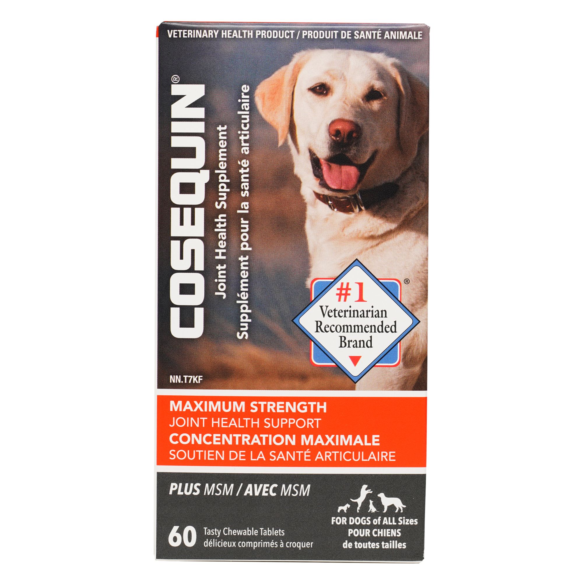 Cosequin For Dogs: Effective Joint Health Supplements For Dogs