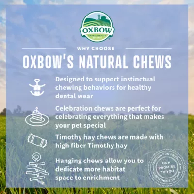 Product Oxbow Enriched Life Timothy Hay Apple Shaped Small Pet Chew