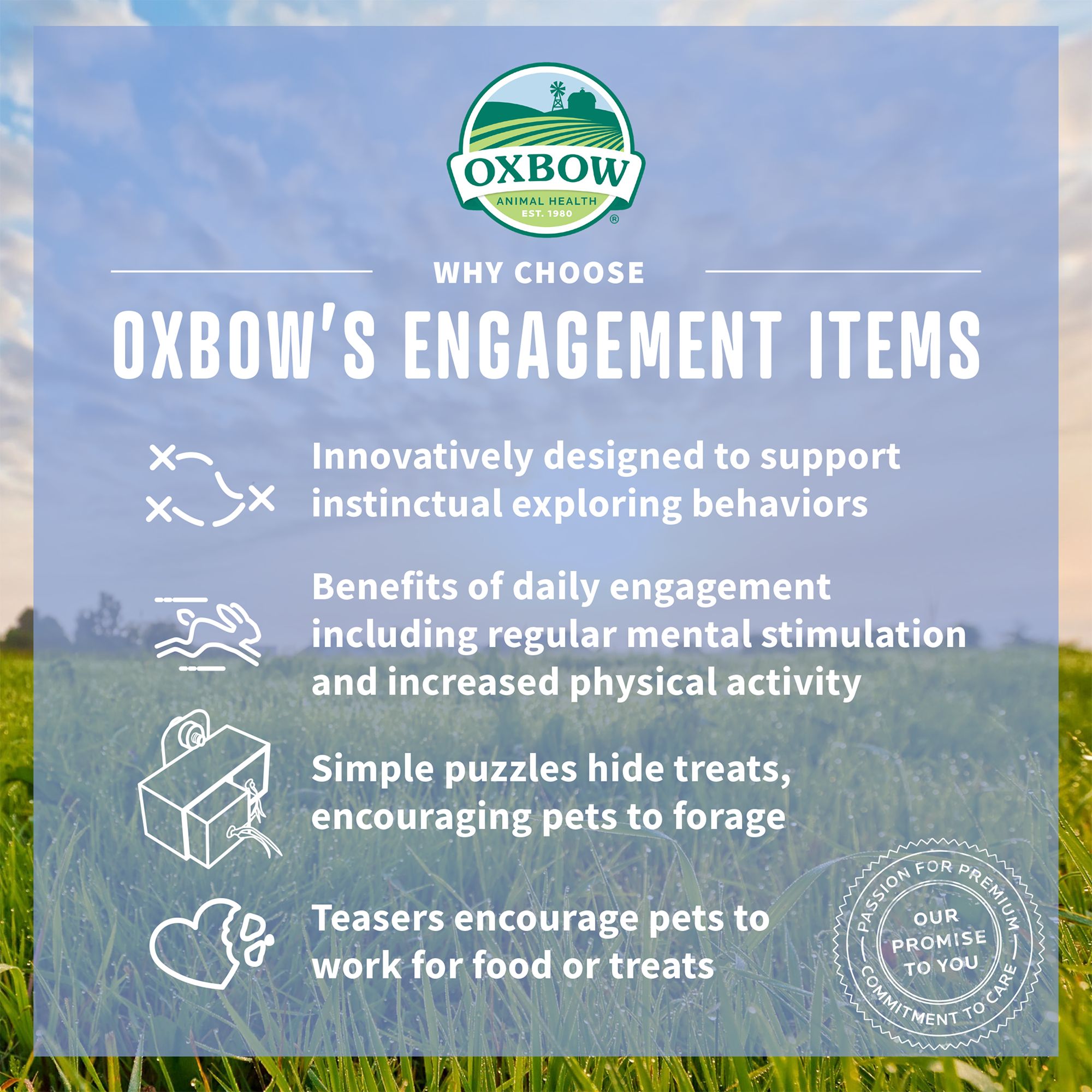 Oxbow Enriched Life Pull 'n Seek Small Pet Foraging Toy - thumbnail 5