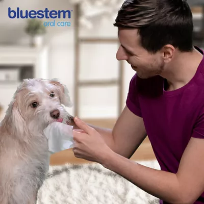 Product Bluestem Dog & Cat Dental Wipes