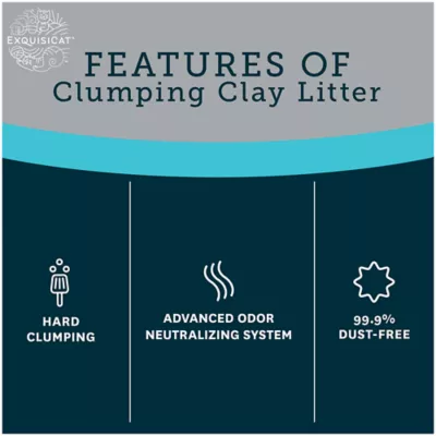 Product ExquisiCat Premium Clumping Multi-Cat Clay Cat Litter - Unscented, Low Dust