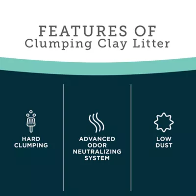 Product ExquisiCat Premium Clumping Multi-Cat Clay Cat Litter - Scented, Low Dust