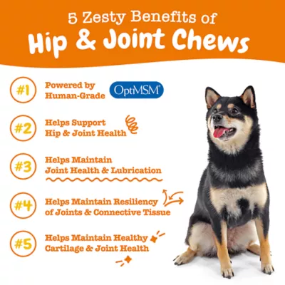 Product Zesty Paws Mobiility Chews for Dogs