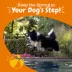 Zesty Paws Mobiility Chews for Dogs image thumbnail 4
