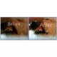 Product bluestem® Oral Care Water Additive for Dogs - Chicken