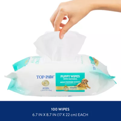 Product Top Paw® Gentle Puppy Wipes