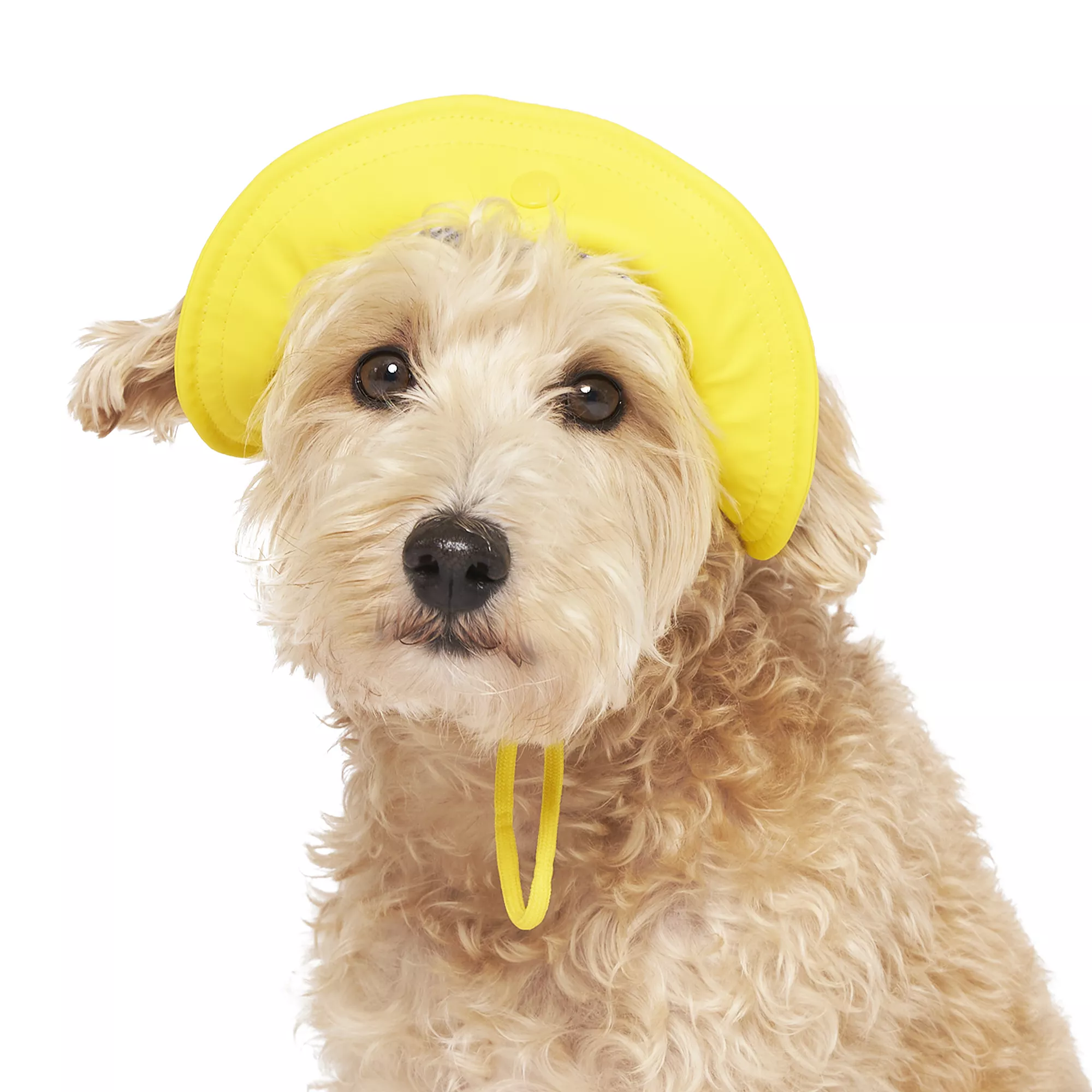 Canada Pooch Torrential Tracker Dog Hat - Yellow