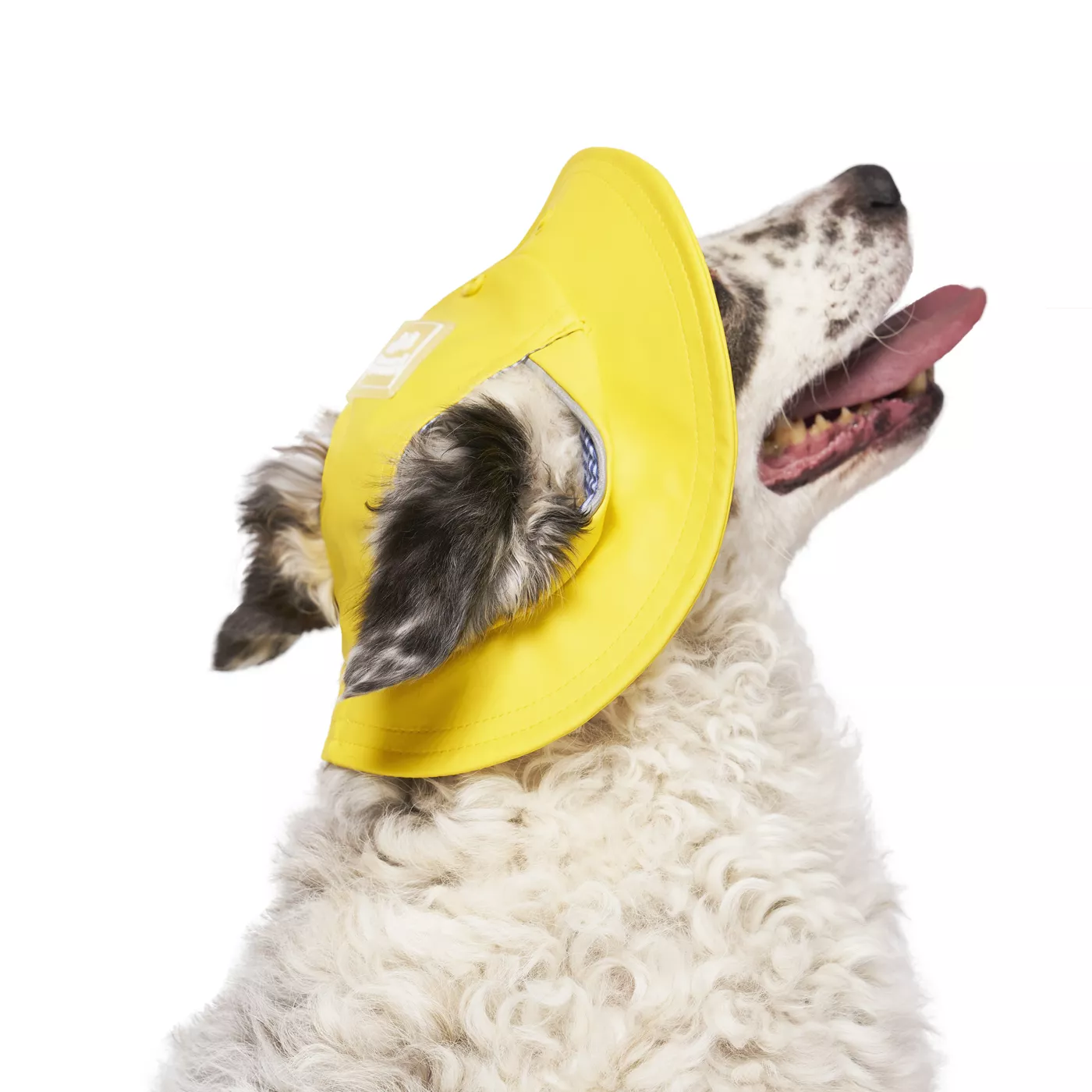Canada Pooch Torrential Tracker Dog Hat Yellow