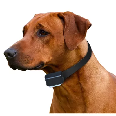 Product High Tech Pet® Express Train Electronic Radio Dog Training E-Collar - Extra Collar