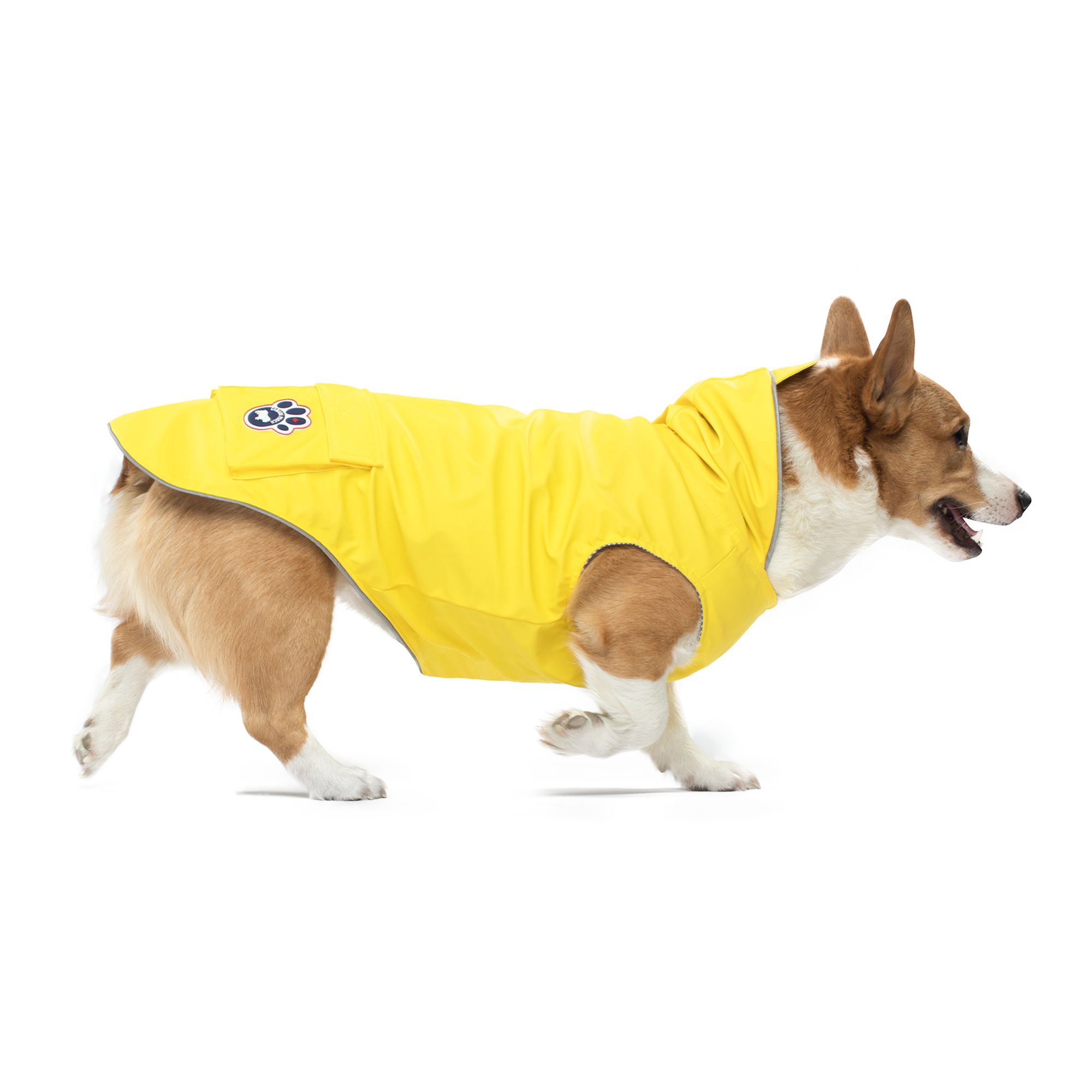 Petsmart 2024 raincoat dog