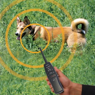 High Tech Pet RT 2 Express Train Remote 2 Dog Radio Trainer