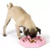 Top Paw® Puzzle Slow Feeder Dog Bowl image thumbnail 3