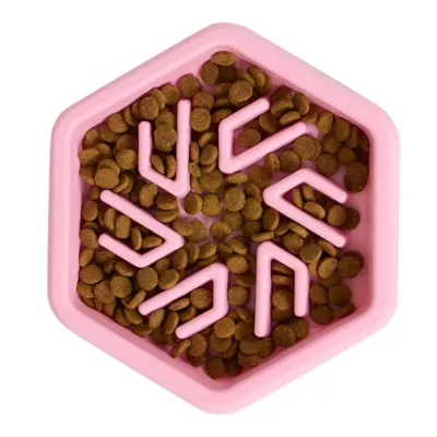 Top Paw® Puzzle Slow Feeder Dog Bowl - Image 4