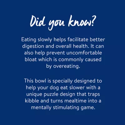 Top Paw® Puzzle Slow Feeder Dog Bowl - Image 5