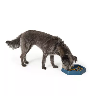 Top Paw® Puzzle Slow Feeder Dog Bowl - Image 6