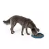 Top Paw® Puzzle Slow Feeder Dog Bowl image thumbnail 6