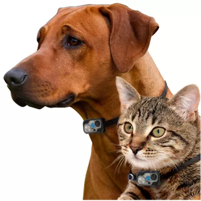 Product High Tech Pet® WiFi Enabled Smartphone Controlled Automatic Dog & Cat Door