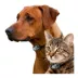 High Tech Pet® Wi-Fi Enabled Smartphone Controlled Electronic Patio Dog & Cat Door, Regular image thumbnail 3