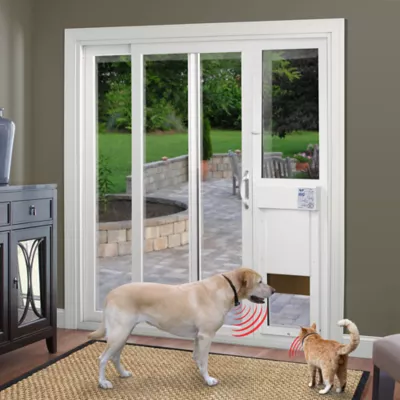 Petsmart dog door best sale