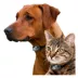 High Tech Pet® WiFi Enabled Smartphone Controlled Automatic Dog & Cat Door & Wall Installation Kit image thumbnail 3