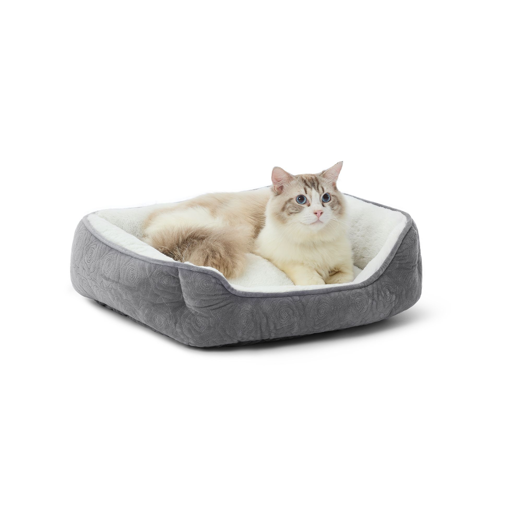 Petsmart cat outlet beds