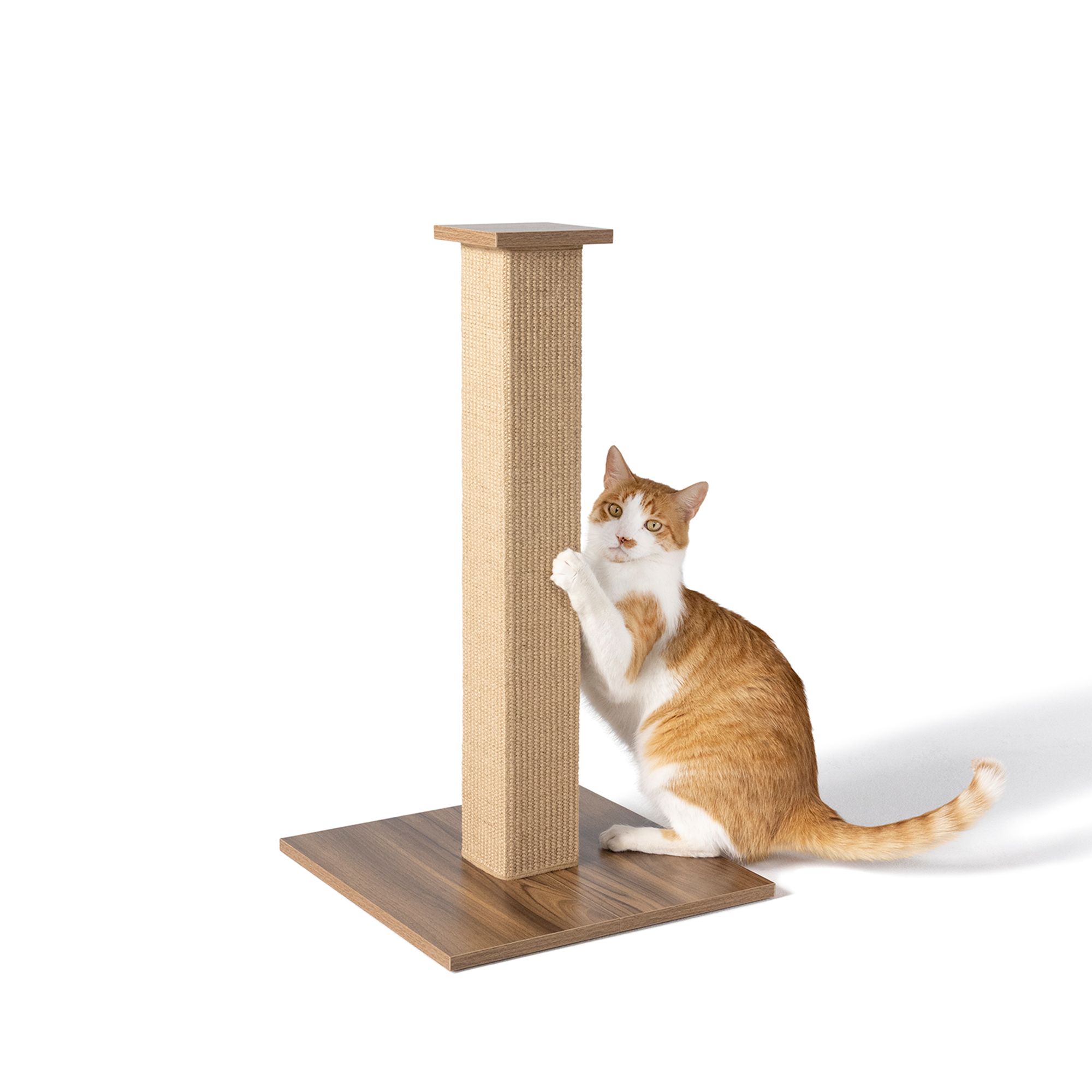 Cat Scratching Posts Corrugated Pads Towers PetSmart