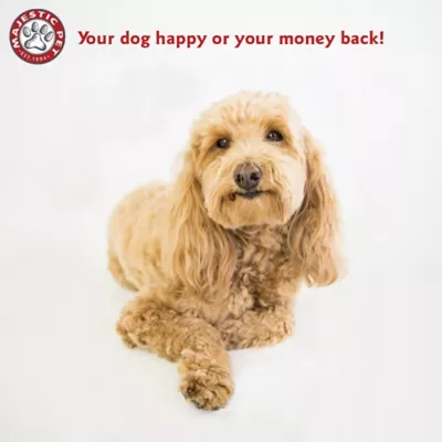 Majestic Pet Personalized Bagel Dog Bed - Image 7