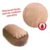 Majestic Pet Personalized Bagel Dog Bed image thumbnail 5