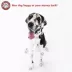 Majestic Pet Personalized Bagel Dog Bed image thumbnail 7